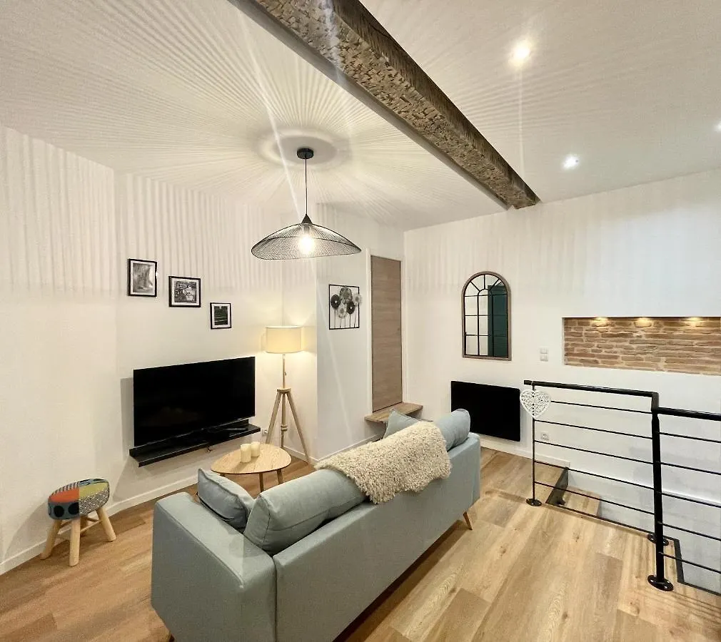 Le Lafayette, appartement duplex climatisé Toulouse