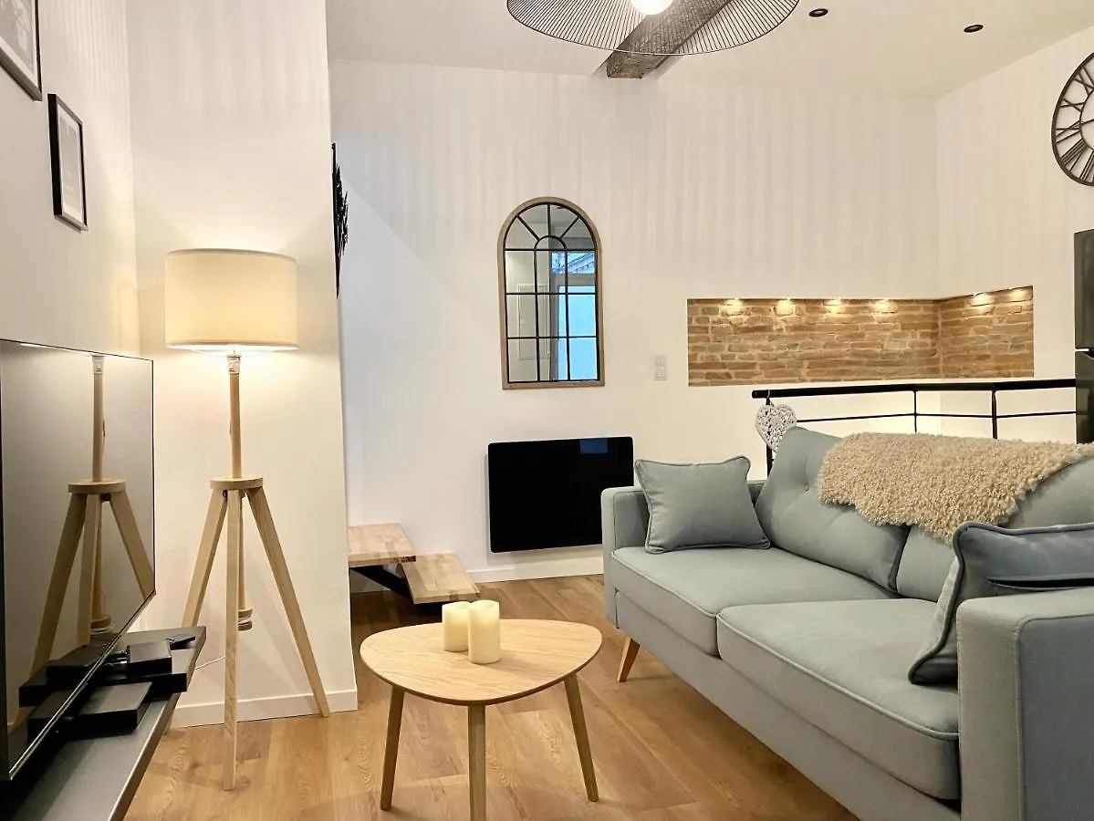 Le Lafayette, appartement duplex climatisé Toulouse Apartamento